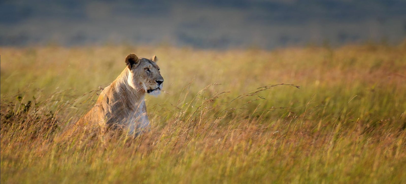 Serengeti National Park