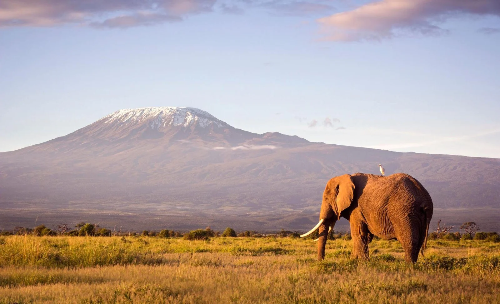  Kilimanjaro National Park