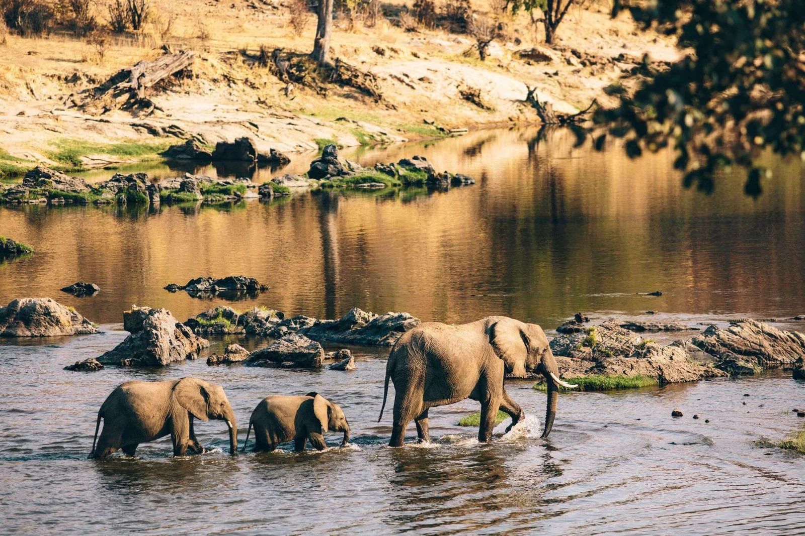 Ruaha National Park