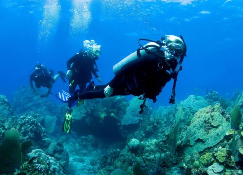 Diving Experience: My First Time Scuba Diving at Mlimani Reef, Mafia Island